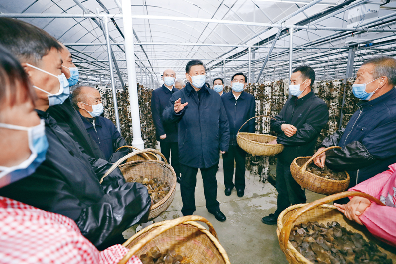 世界杯投注平台