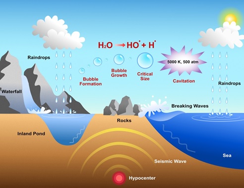 世界杯投注平台