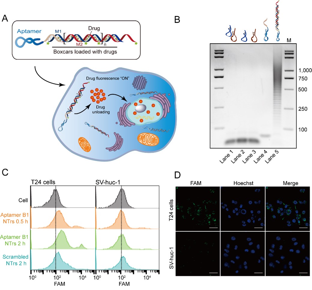 世界杯投注平台