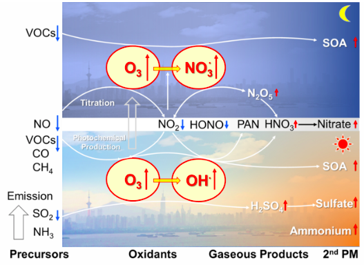 世界杯投注平台