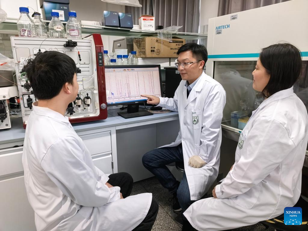 世界杯投注平台