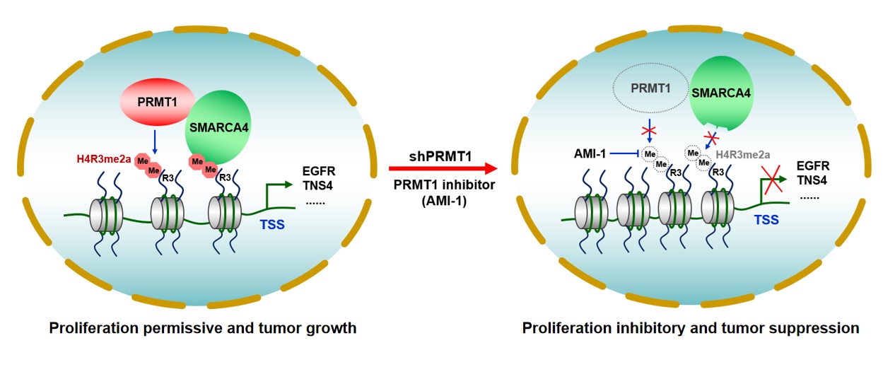 1-1 世界杯投注平台