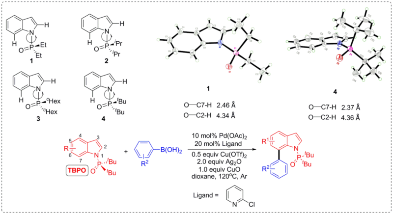 世界杯投注平台