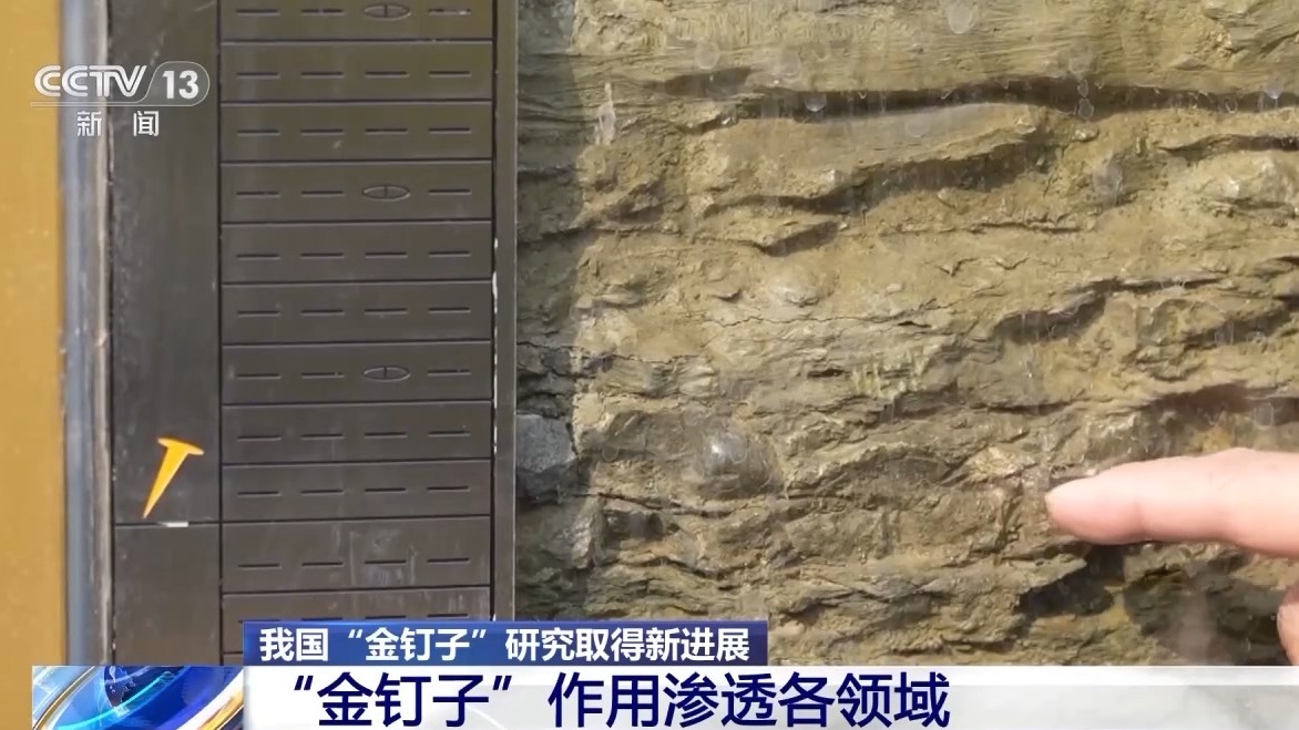 世界杯投注平台