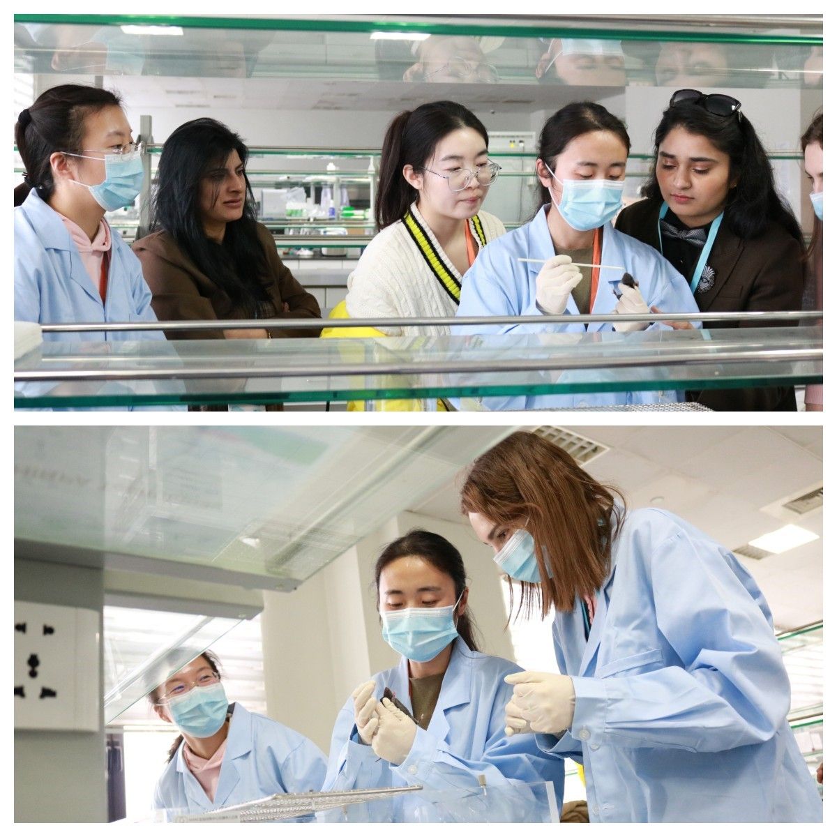 世界杯投注平台