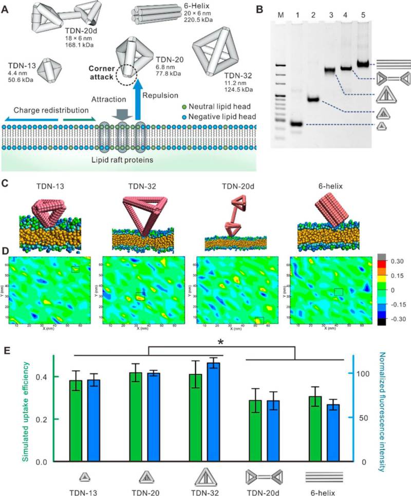 世界杯投注平台