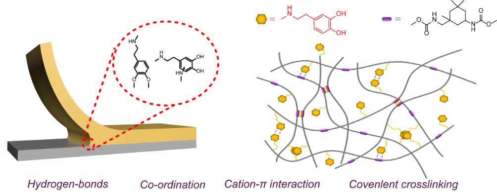 世界杯投注平台