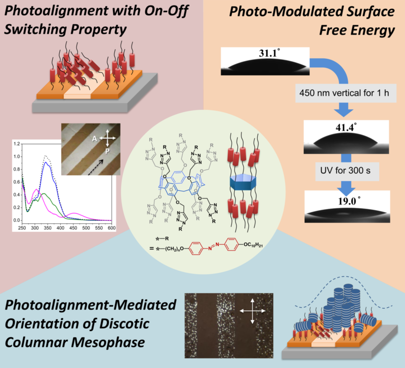 世界杯投注平台
