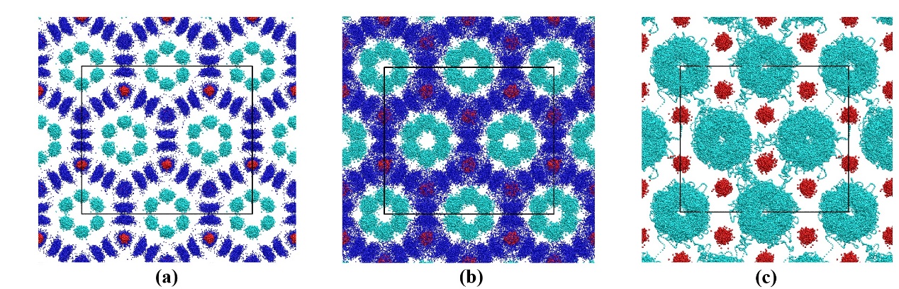 世界杯投注平台