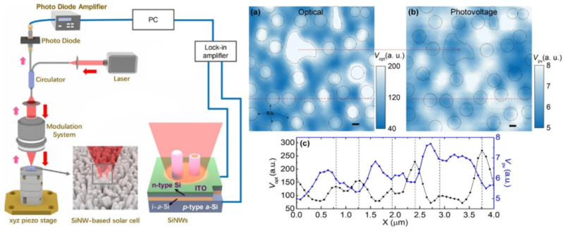 世界杯投注平台