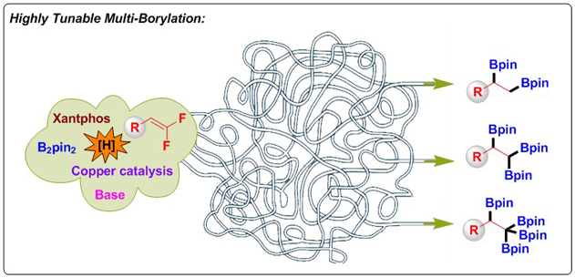 世界杯投注平台