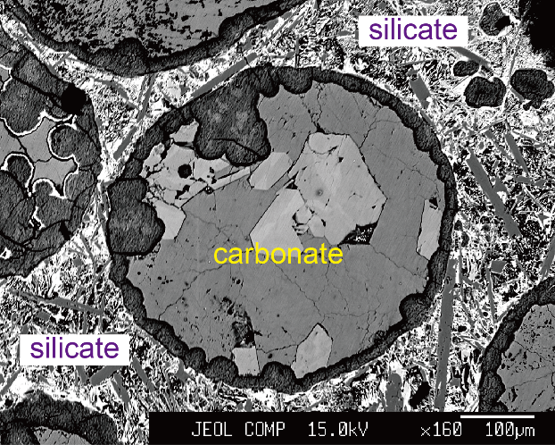 世界杯投注平台