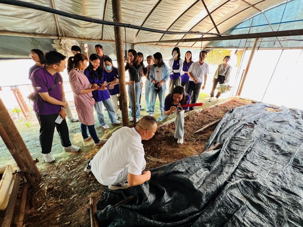 世界杯投注平台