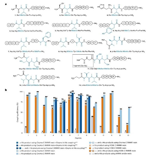 世界杯投注平台