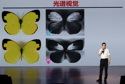 世界杯投注平台