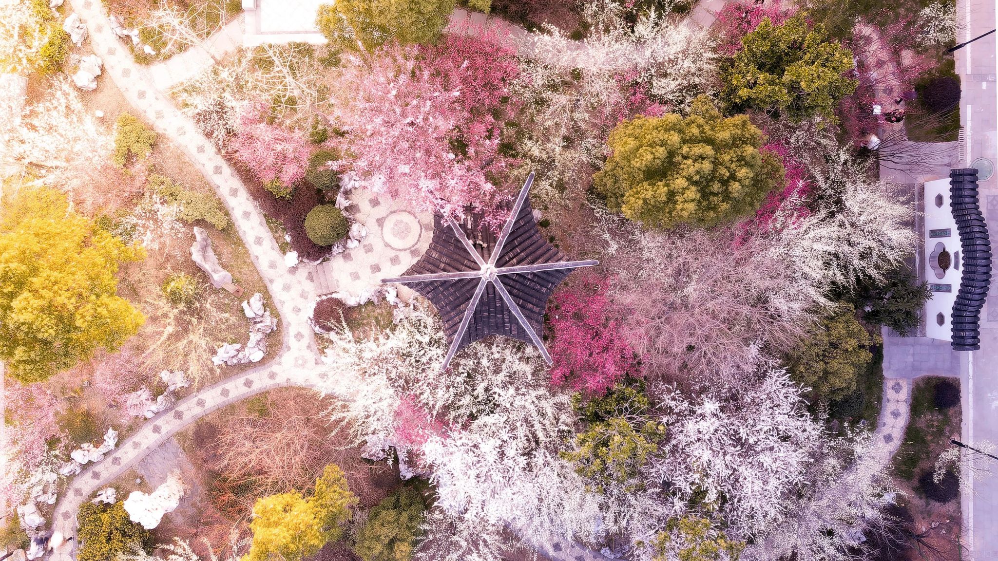 世界杯投注平台