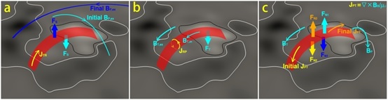 世界杯投注平台