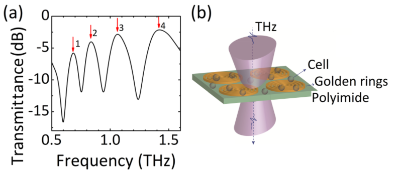 世界杯投注平台