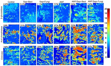 世界杯投注平台