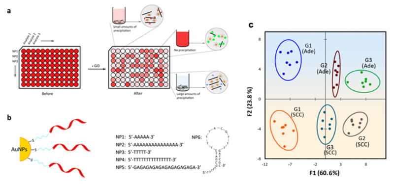 世界杯投注平台