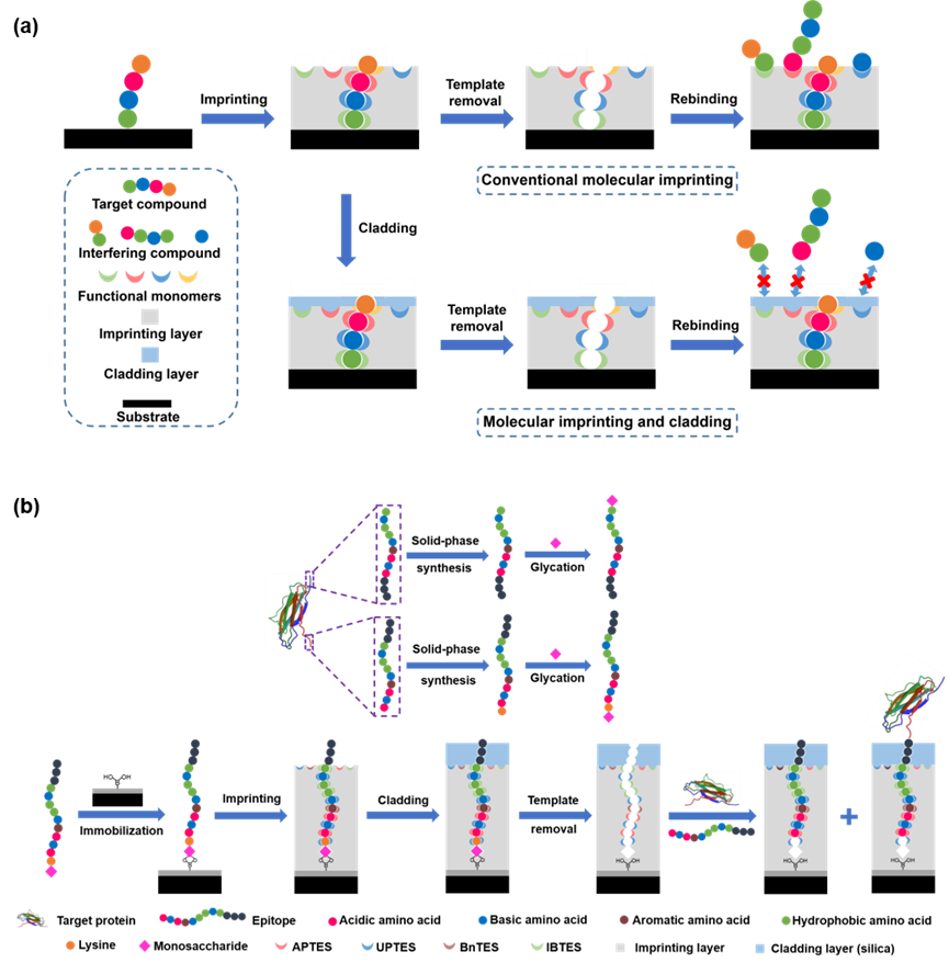 世界杯投注平台