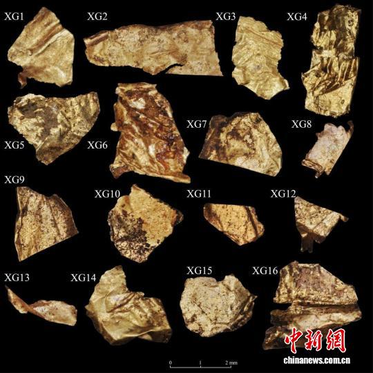 世界杯投注平台