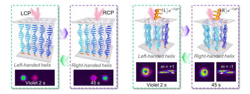 世界杯投注平台