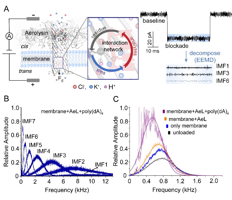 世界杯投注平台
