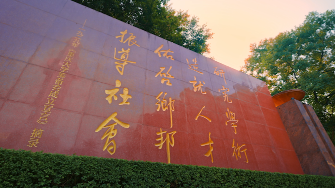 世界杯投注平台