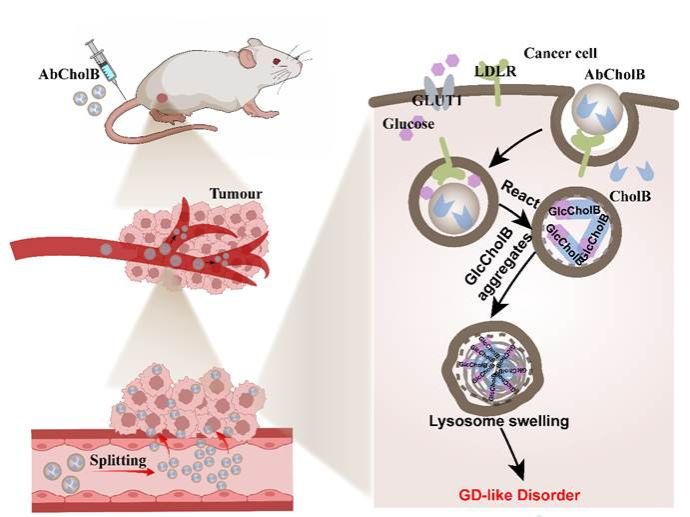 世界杯投注平台