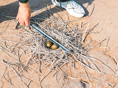 世界杯投注平台