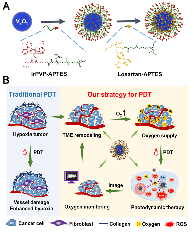 世界杯投注平台