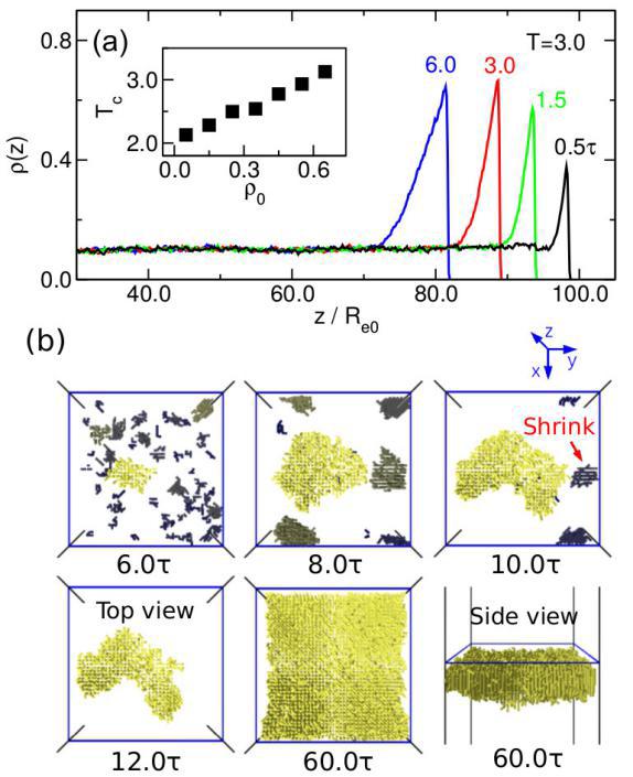 世界杯投注平台