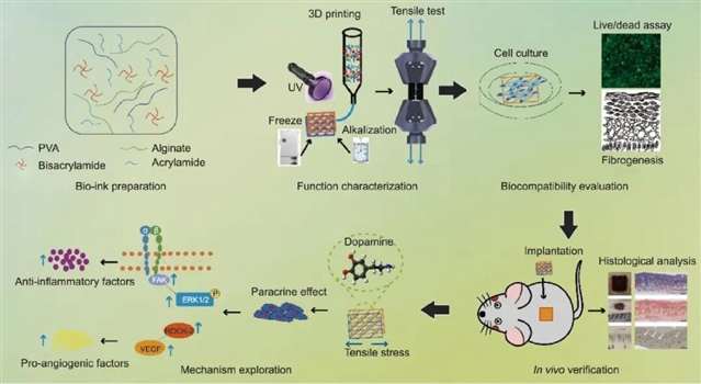 世界杯投注平台