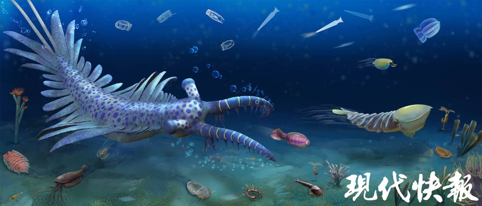 世界杯投注平台