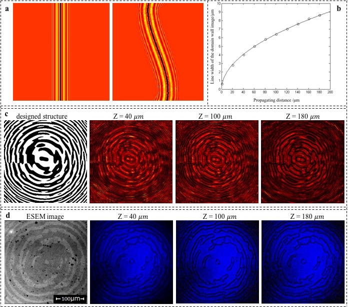 世界杯投注平台