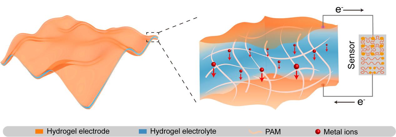 世界杯投注平台