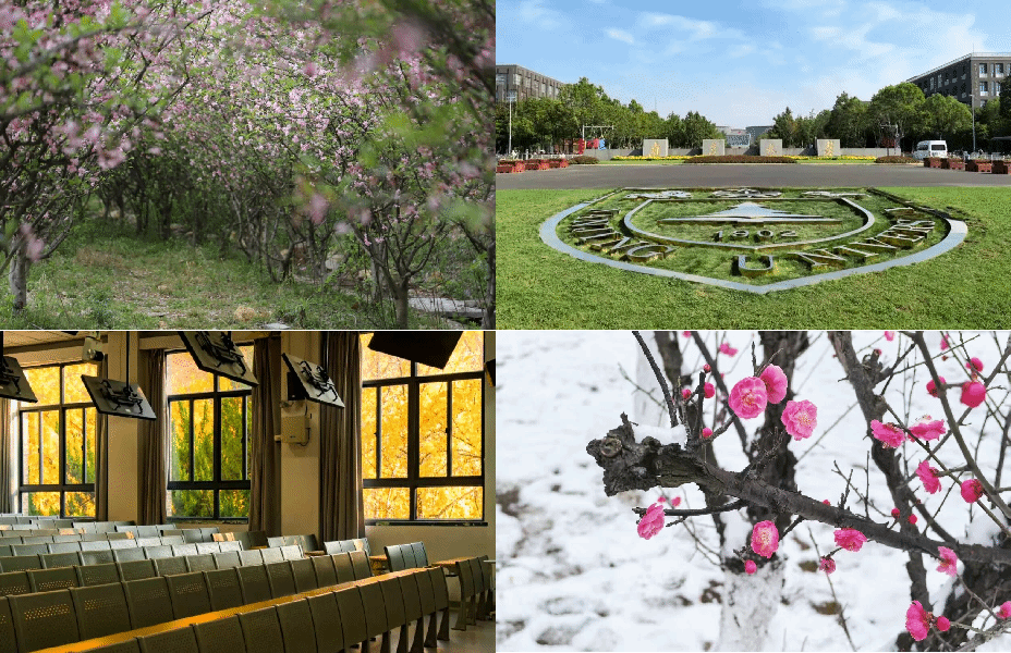 世界杯投注平台