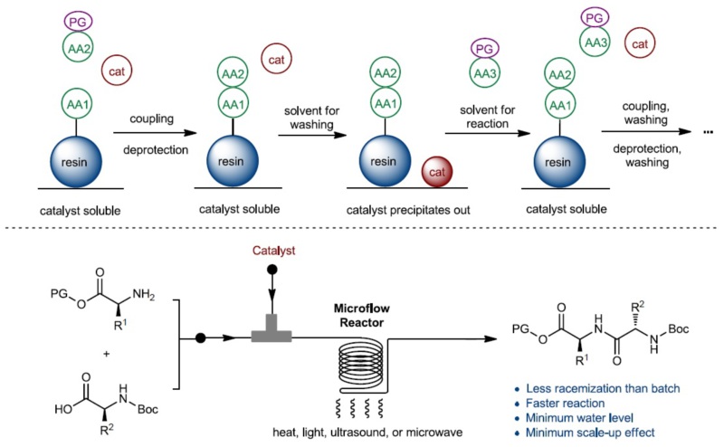 世界杯投注平台