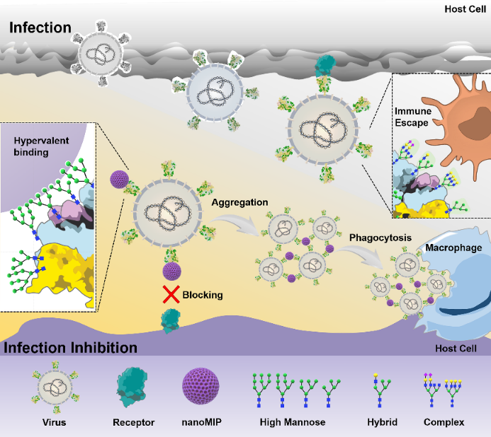 世界杯投注平台