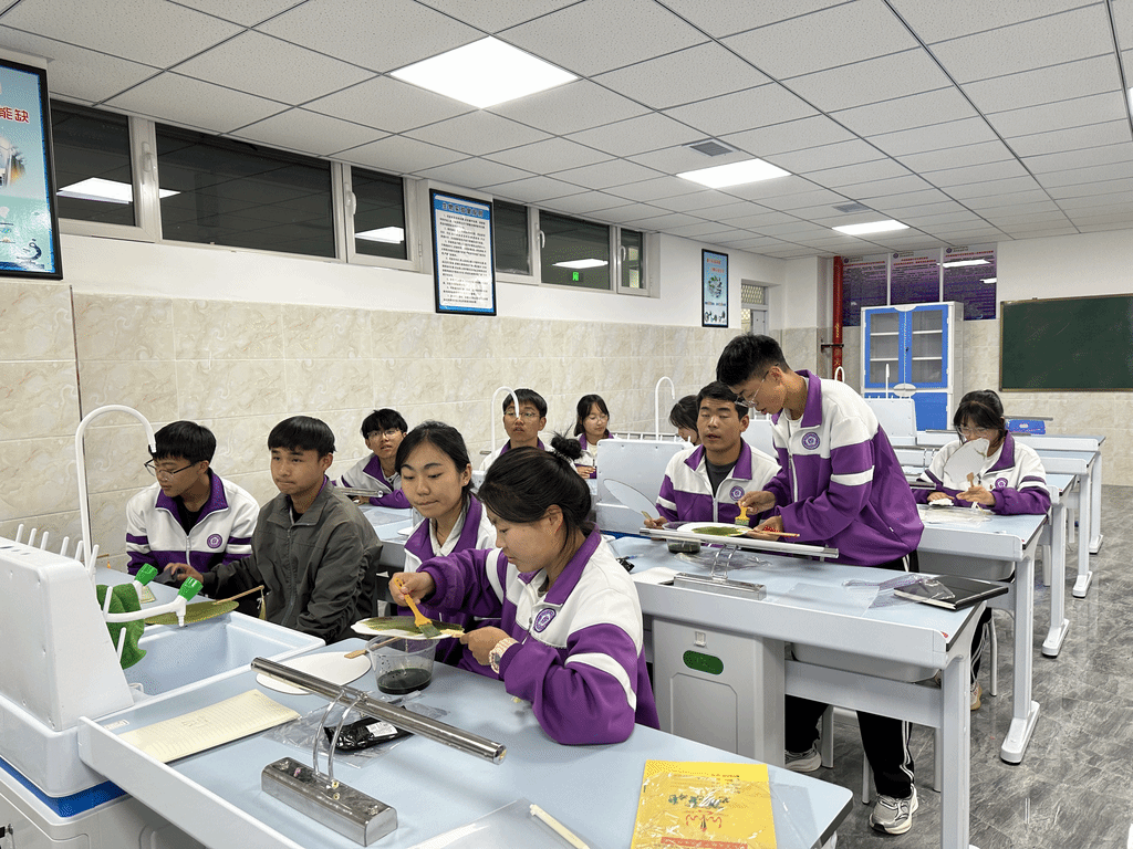 世界杯投注平台