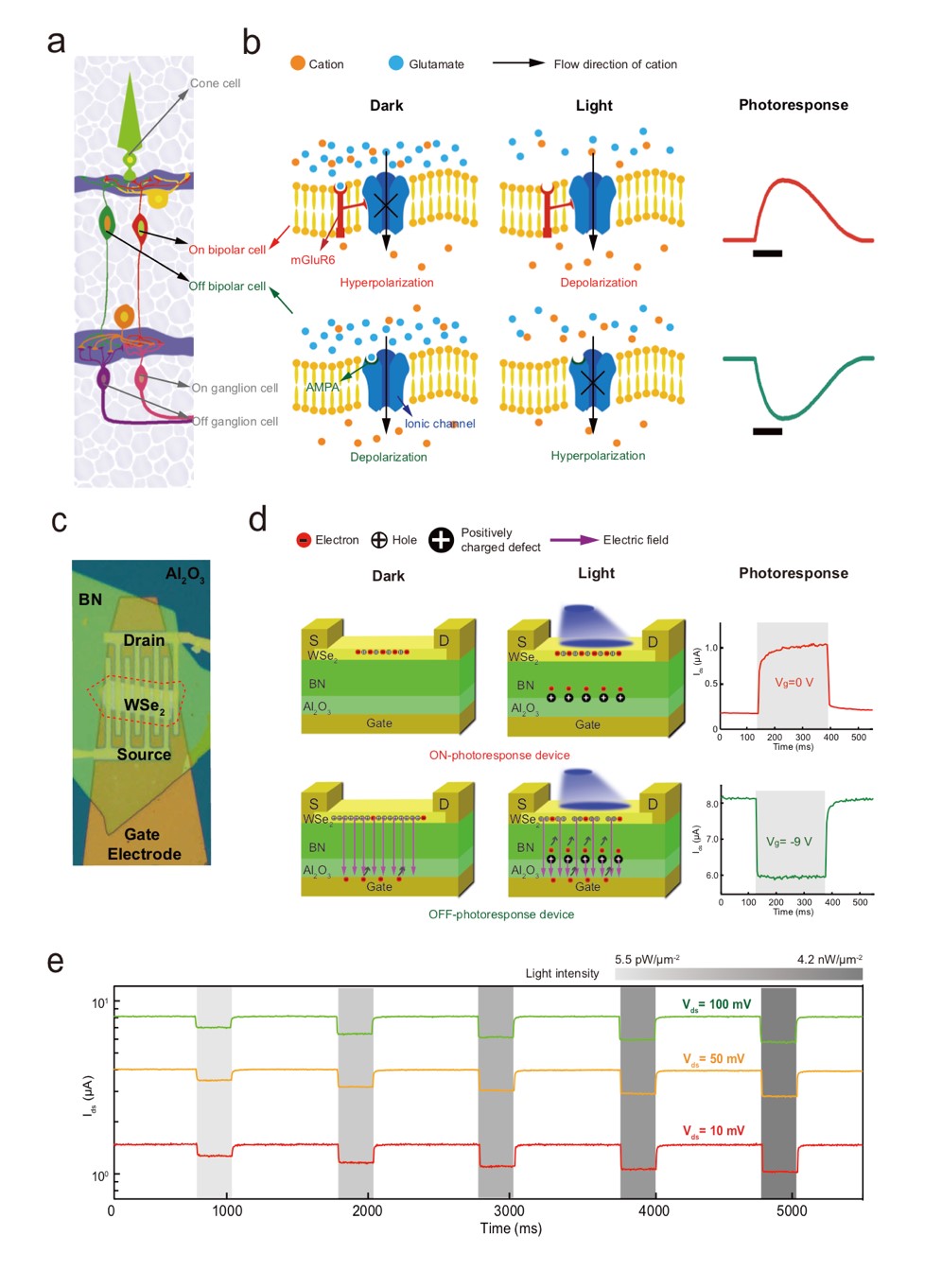 世界杯投注平台