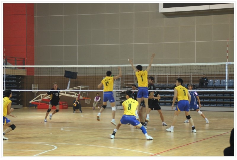 世界杯投注平台