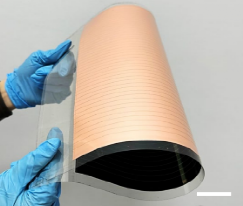 世界杯投注平台