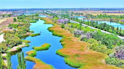 世界杯投注平台