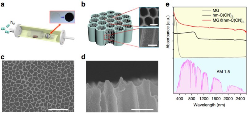 世界杯投注平台