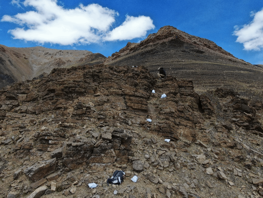 世界杯投注平台