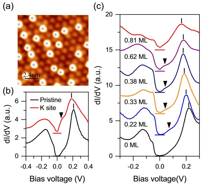 世界杯投注平台