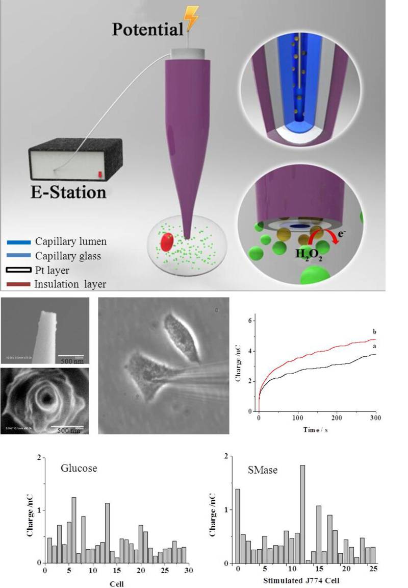 世界杯投注平台