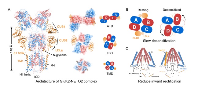 世界杯投注平台
